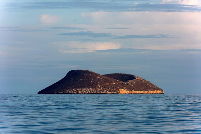 Daphne Island(Galapagos)